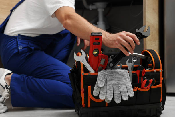 Best Local Plumber Services  in Granger, IN